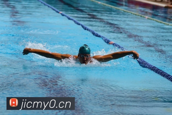星空体育综合入口平台生态图